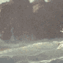 waves.gif